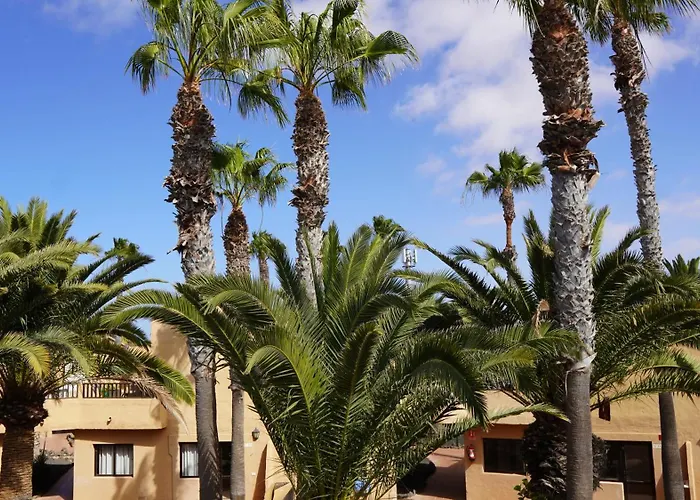 Apartamento Oasis Duna Casa 3p Is Premium Adults-only With Panoramic Pool View Corralejo