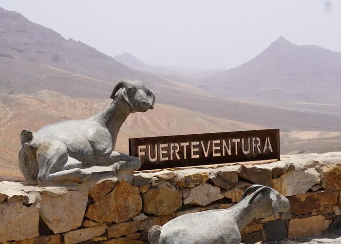 Apartamento Oasis Duna Casa 3p Is Premium Adults-only With Panoramic Pool View