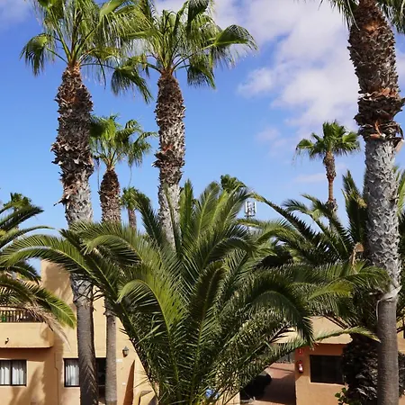 Apartment Oasis Duna Casa 3p Is Premium Adults-only With Panoramic Pool View Corralejo